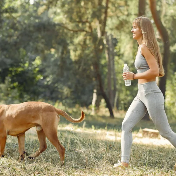 jak się przygotować do biegania z psem